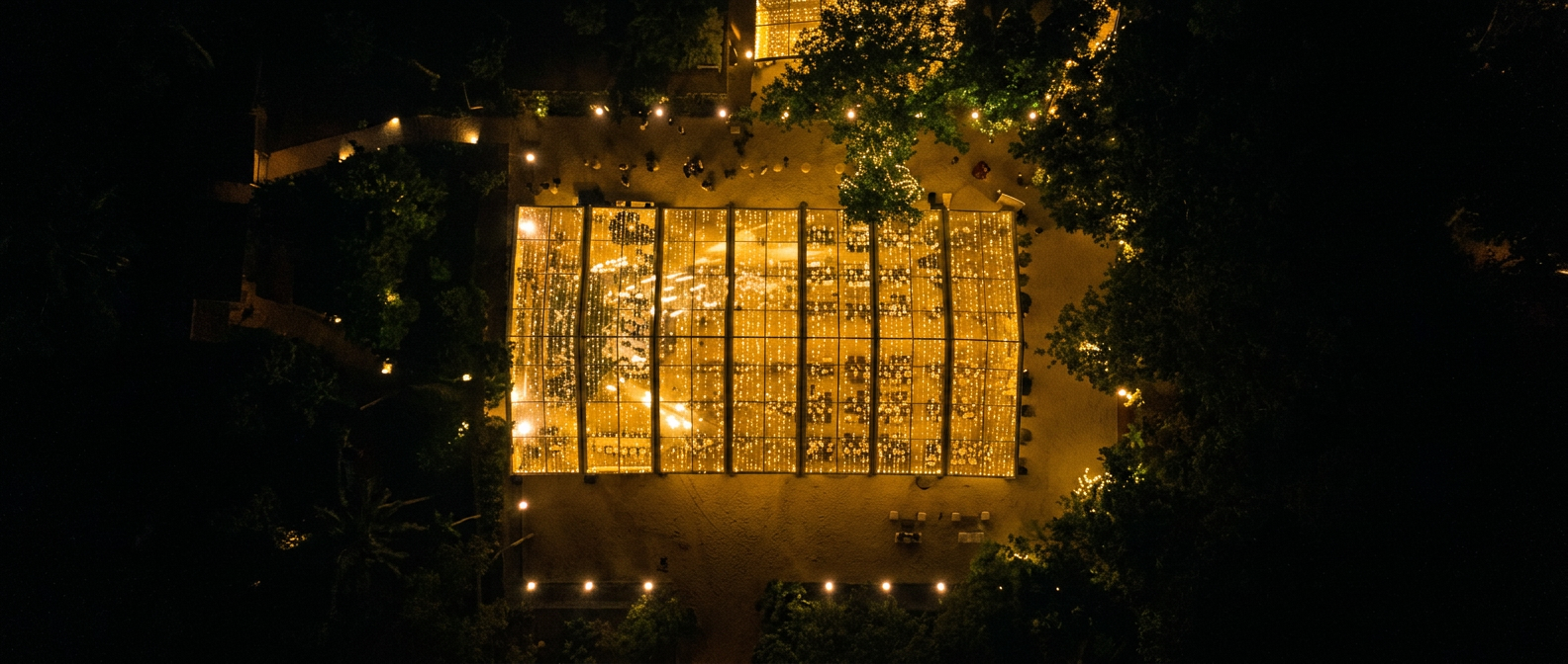 The forest lit for the evening celebration